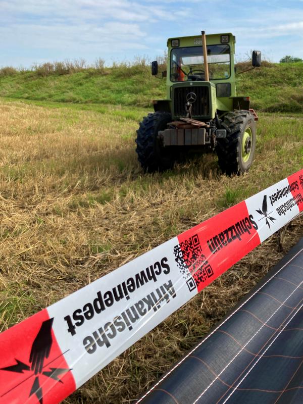 Das Veterinäramt und Verbraucherschutz informiert: Antikörper gegen die Aujeszkysche Krankheit erneut im Rhein-Neckar-Kreis nachgewiesen