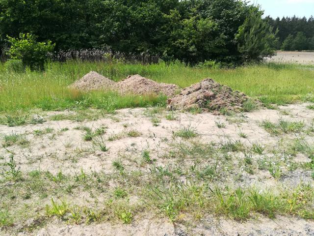 St.LeonRotAushub229052020