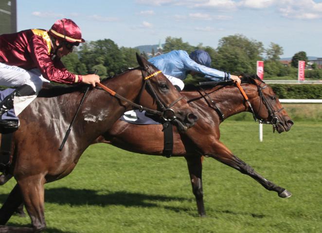 VW20190601I2867A1QR7C75VW