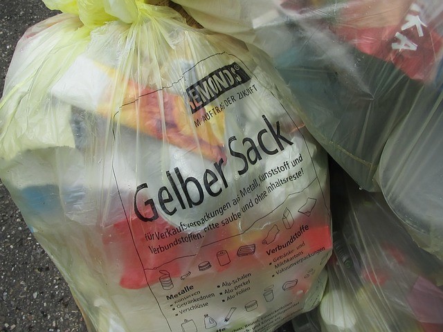 gelberS