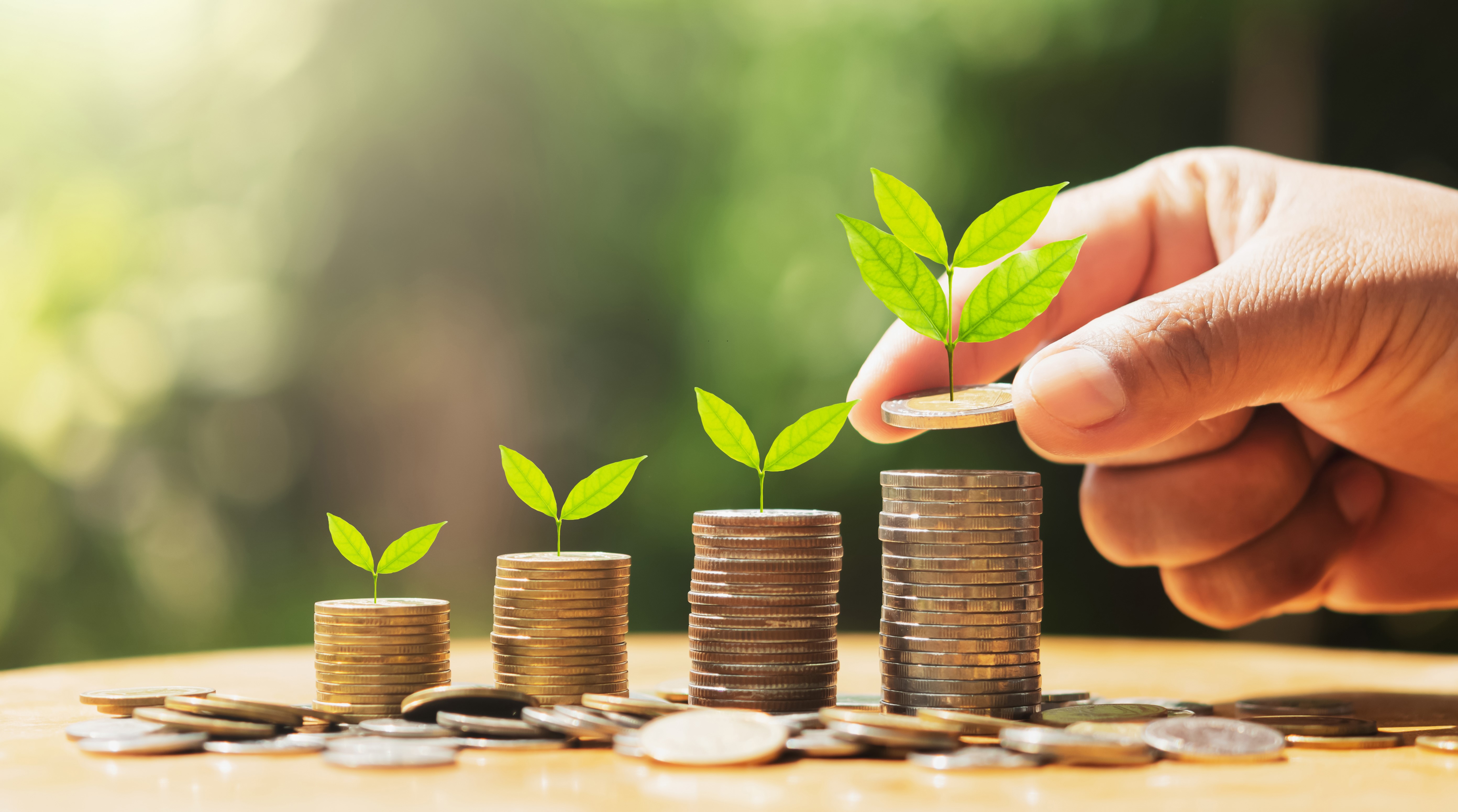 Umwelt-Stiftung lobt 12.000 Euro aus