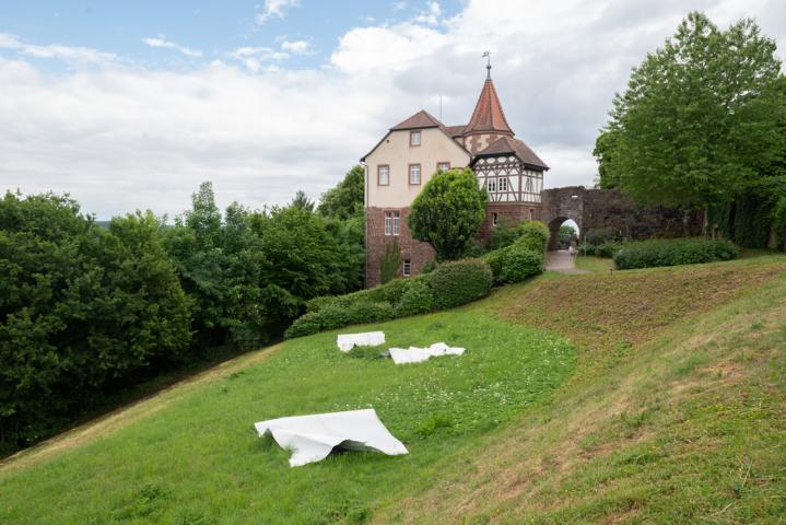 Von Dilsberg bis Walldorf: Radiale 2025 brachte die Kunst in den Rhein-Neckar-Kreis und verband Orte, Menschen und Perspektiven