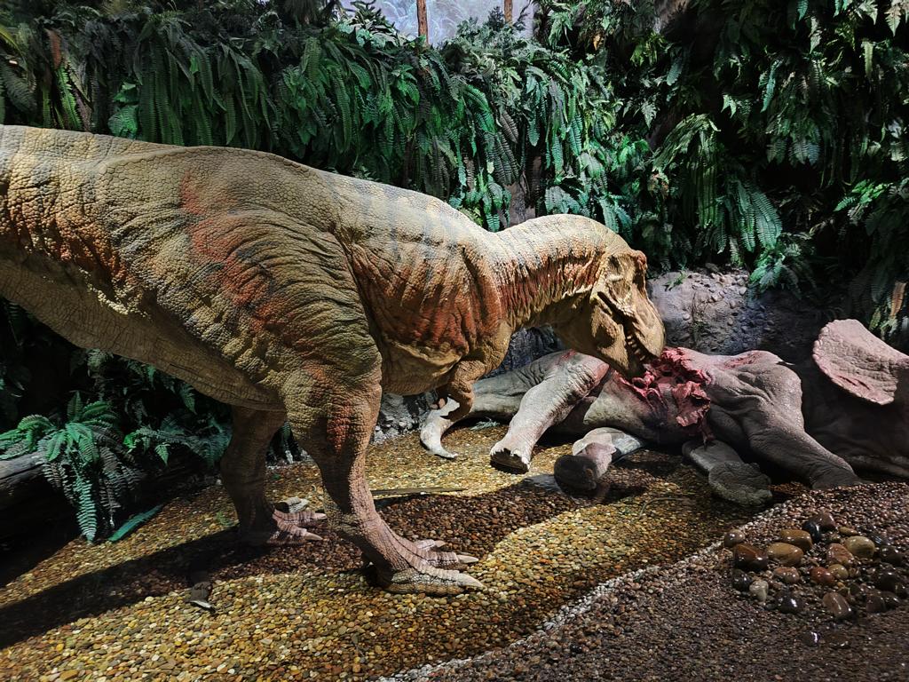 K1024 IMG 20251019 112608