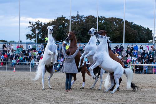 EQUITANA Open Air Mannheim 2021 2 2 Copy